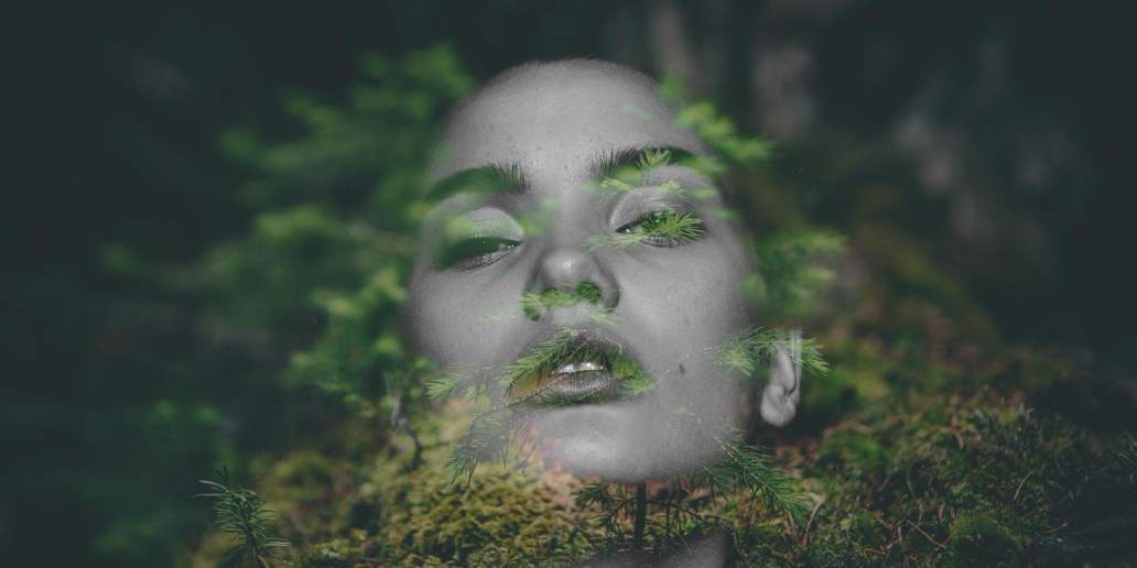 New South Lawyers. Our practise is client-focused. We are specialists Environment & Planning Lawyer Sydney. Let us help you through your crisis. We strive for results.