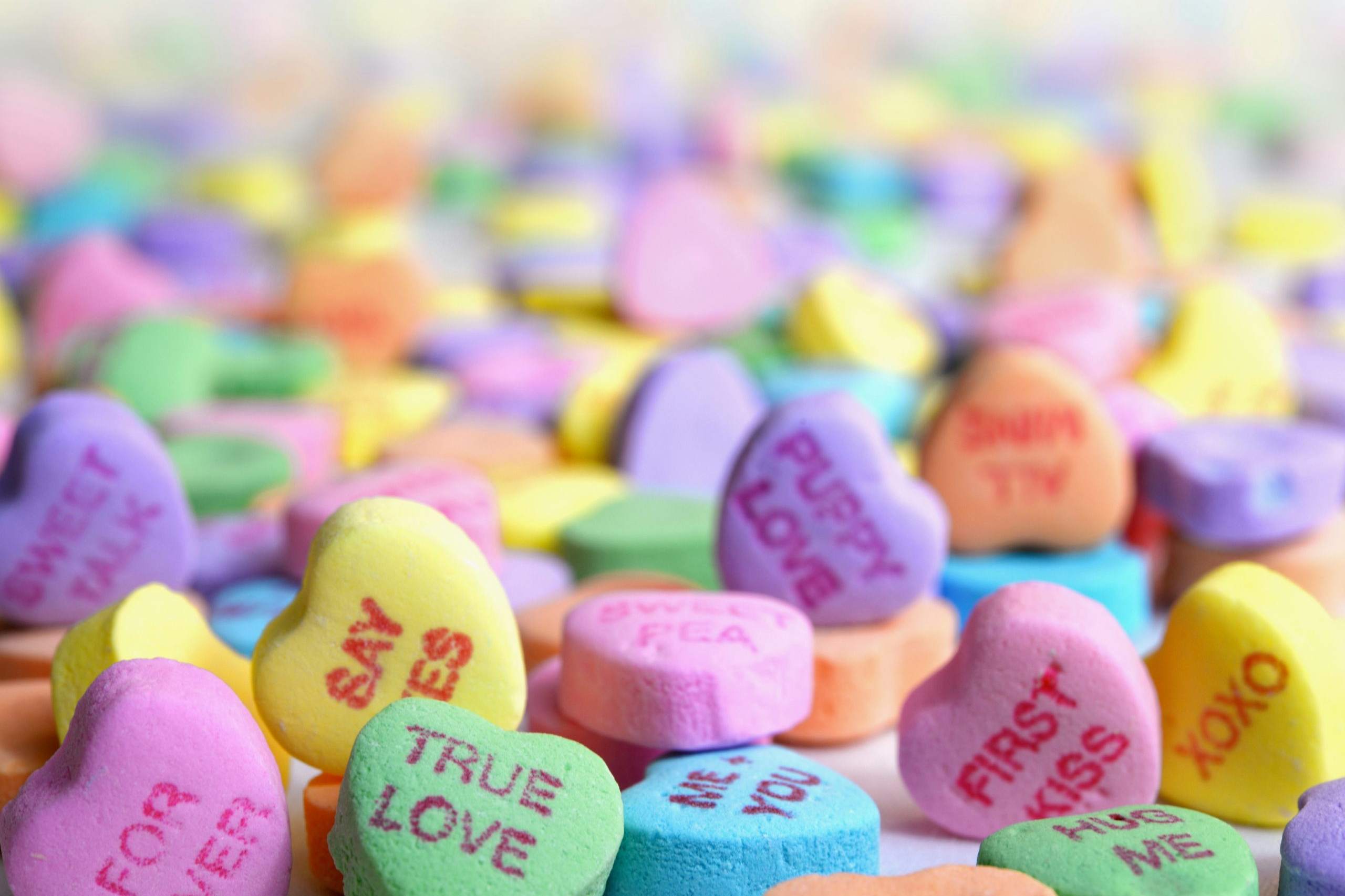 Family Law - Should you give love another chance Valentine's Day
