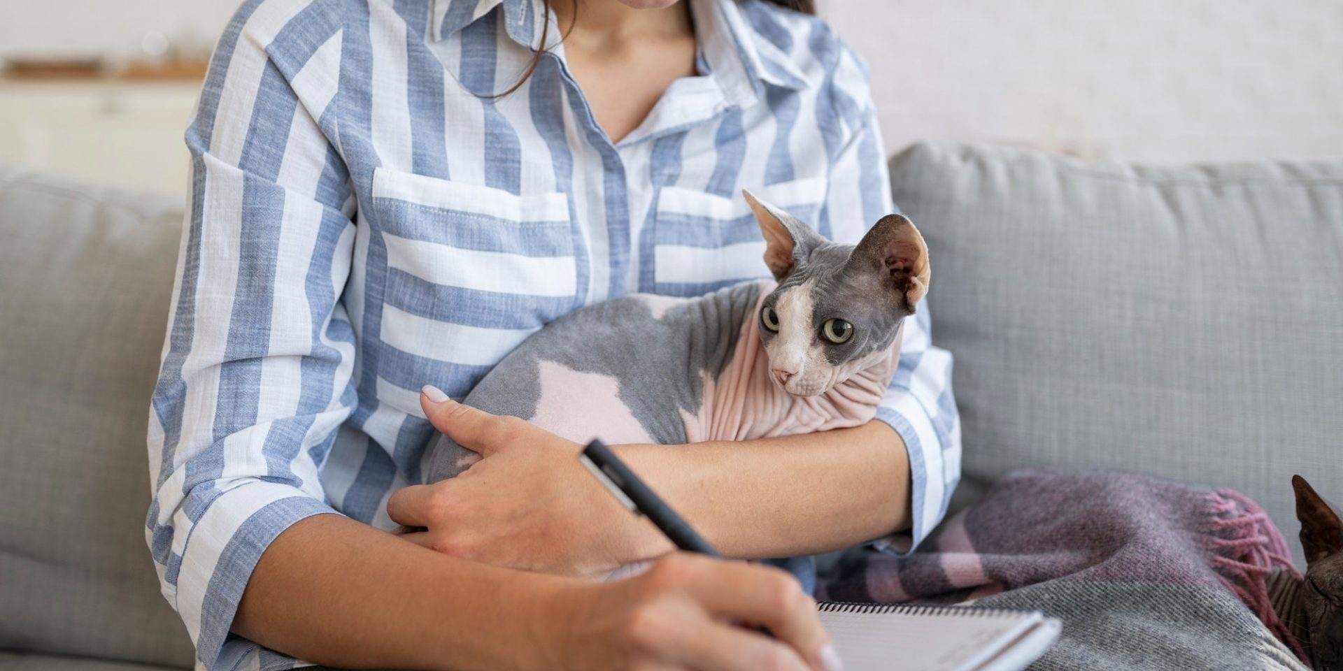 Wills and Pets: Securing Your Furry Friends’ Future