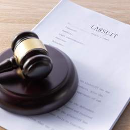 Power of Precedent: Why Appeal Judgments Matter in Litigation