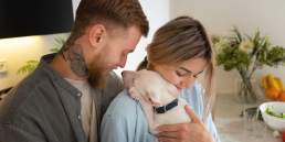 Who gets the dog in a divorce?