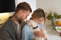 Who gets the dog in a divorce?